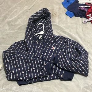 Blue cropped champion hoodie